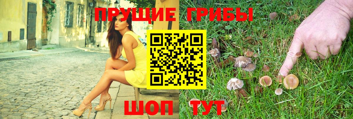 Псилоцибиновые грибы Magic Shrooms  магазин    Белорецк  Вход с VPN 