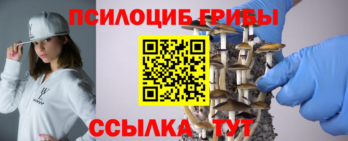 Галлюциногенные грибы прущие грибы Белорецк